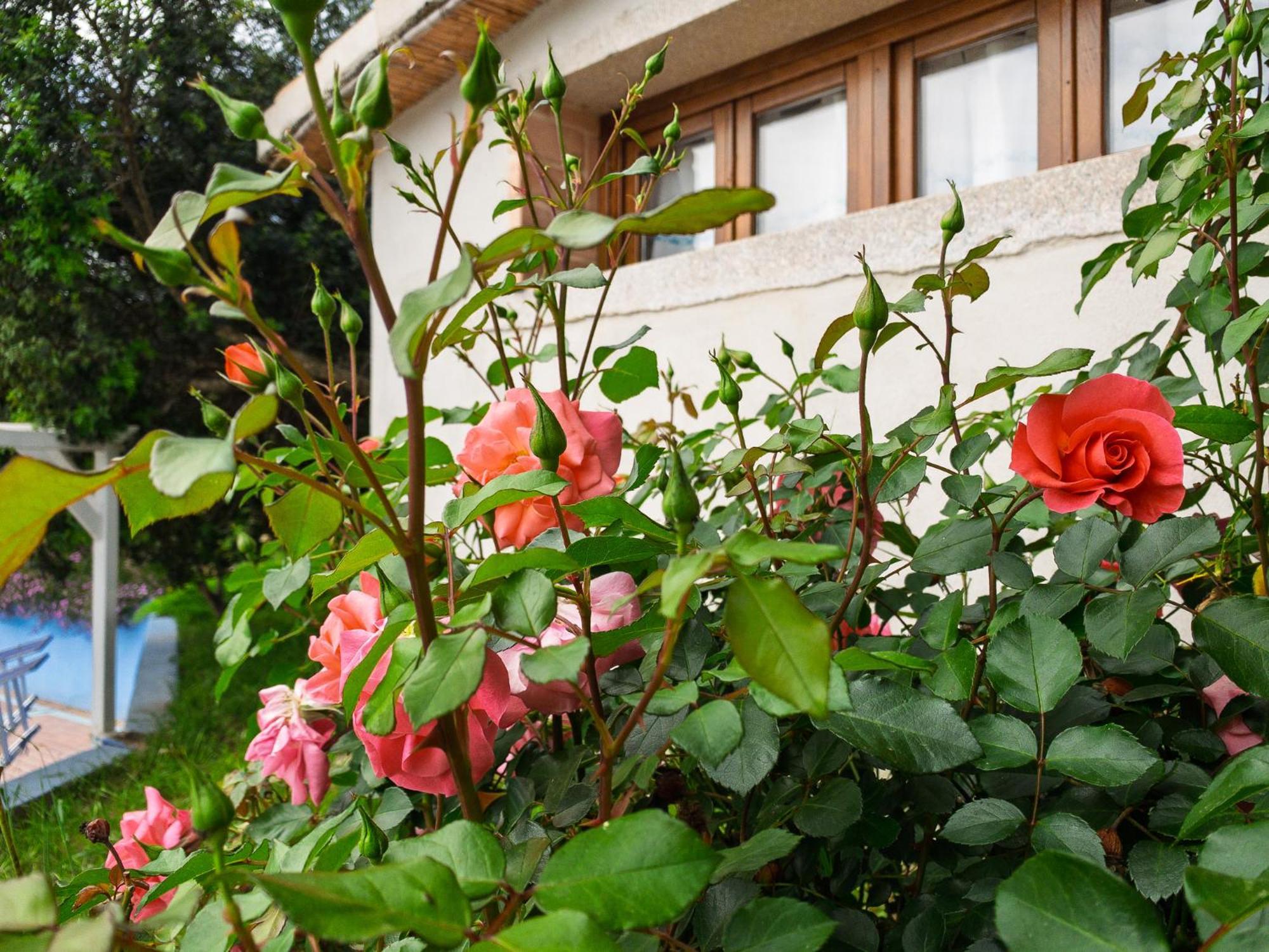 Agriturismo Guparza Posada  Εξωτερικό φωτογραφία