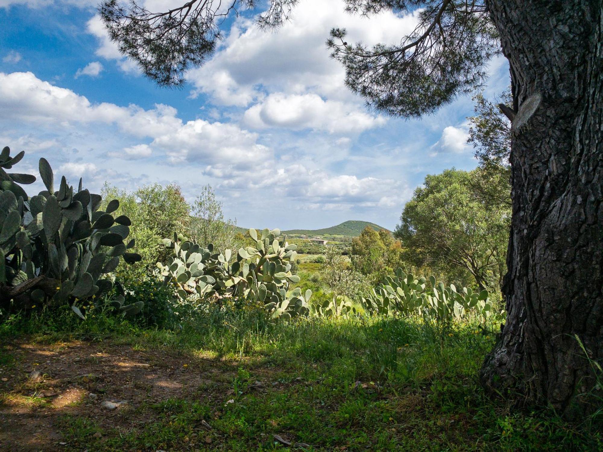 Agriturismo Guparza Posada  Εξωτερικό φωτογραφία