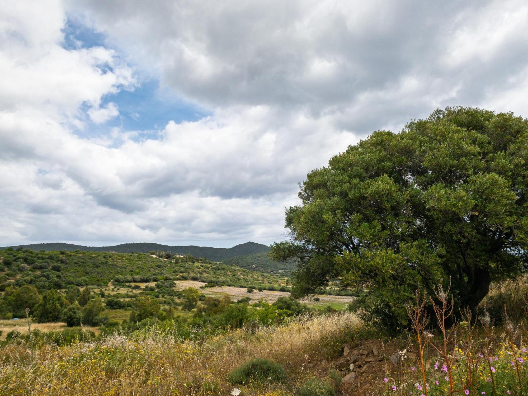 Agriturismo Guparza Posada  Εξωτερικό φωτογραφία